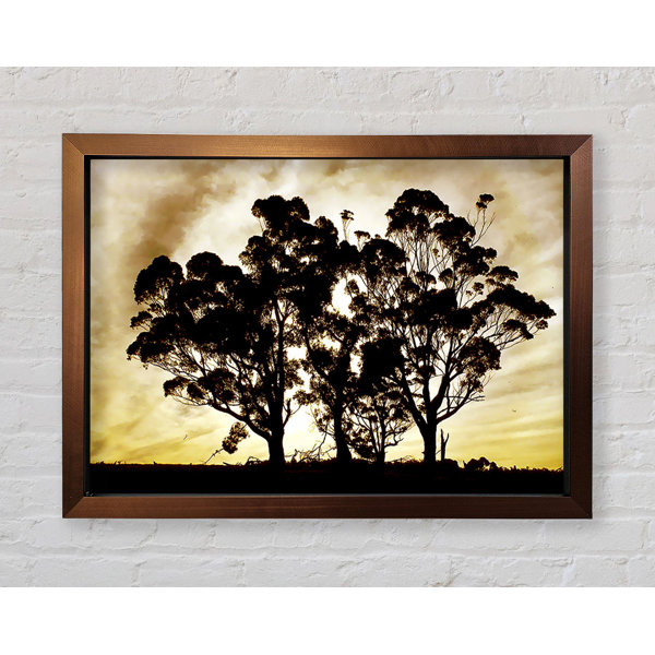 Bright Star Chocolate Trees - Print | Wayfair.co.uk